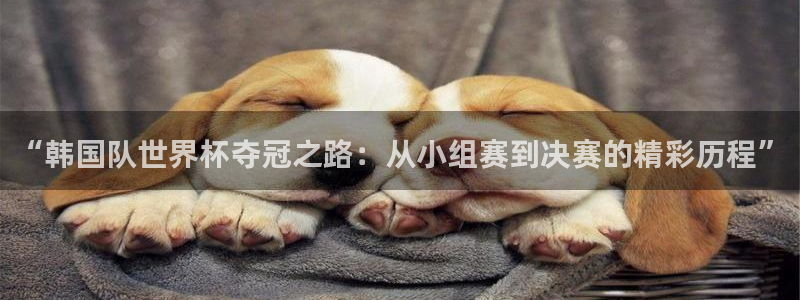世界杯足球直播：“韩国队世界杯夺冠之路：从小组赛到决赛的精彩历程”