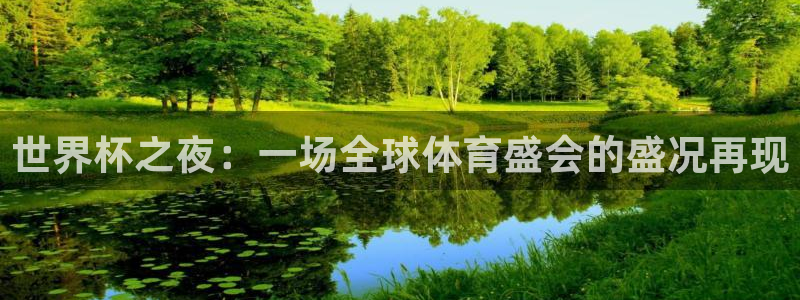 世界杯2026预选赛：世界杯之夜：一场全球体育盛会的盛况再现