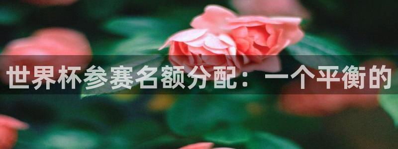 世界杯赛程表2026：世界杯参赛名额分配：一个平衡的