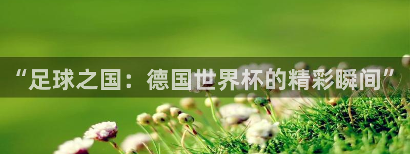 2026世界杯买球：“足球之国：德国世界杯的精彩瞬间”