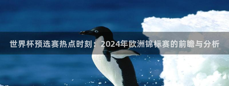 世界杯预选赛赛程时间表：世界杯预选赛热点时刻：2024年欧洲锦标赛的前瞻与分析