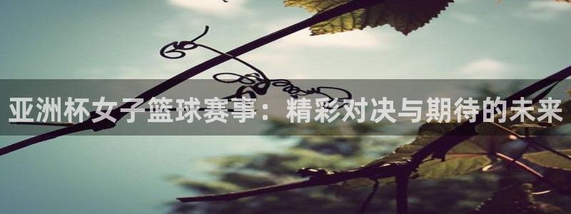 世预赛免费直播入口：亚洲杯女子篮球赛事：精彩对决与期待的未来