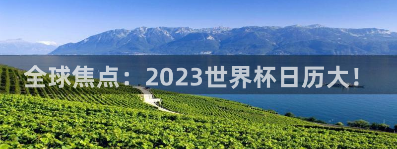 免费看足球直播比赛：全球焦点：2023世界杯日历大！