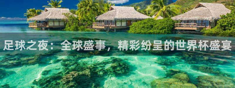 世界杯欧洲区世预赛赛程：足球之夜：全球盛事，精彩纷呈的世界杯盛宴