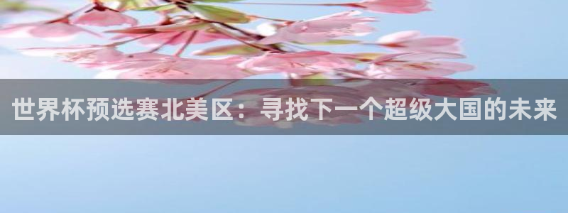 世界杯2026赛程表：世界杯预选赛北美区：寻找下一个超级大国的未来
