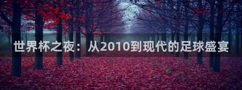 足球世界杯时间：世界杯之夜：从2010到现代的足球盛宴